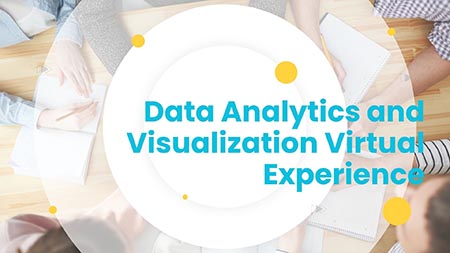 Data Analytics and Visualization Experience