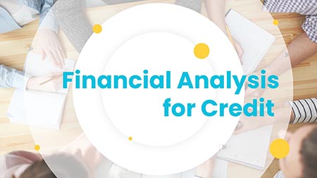 Financial Analysis for Credit